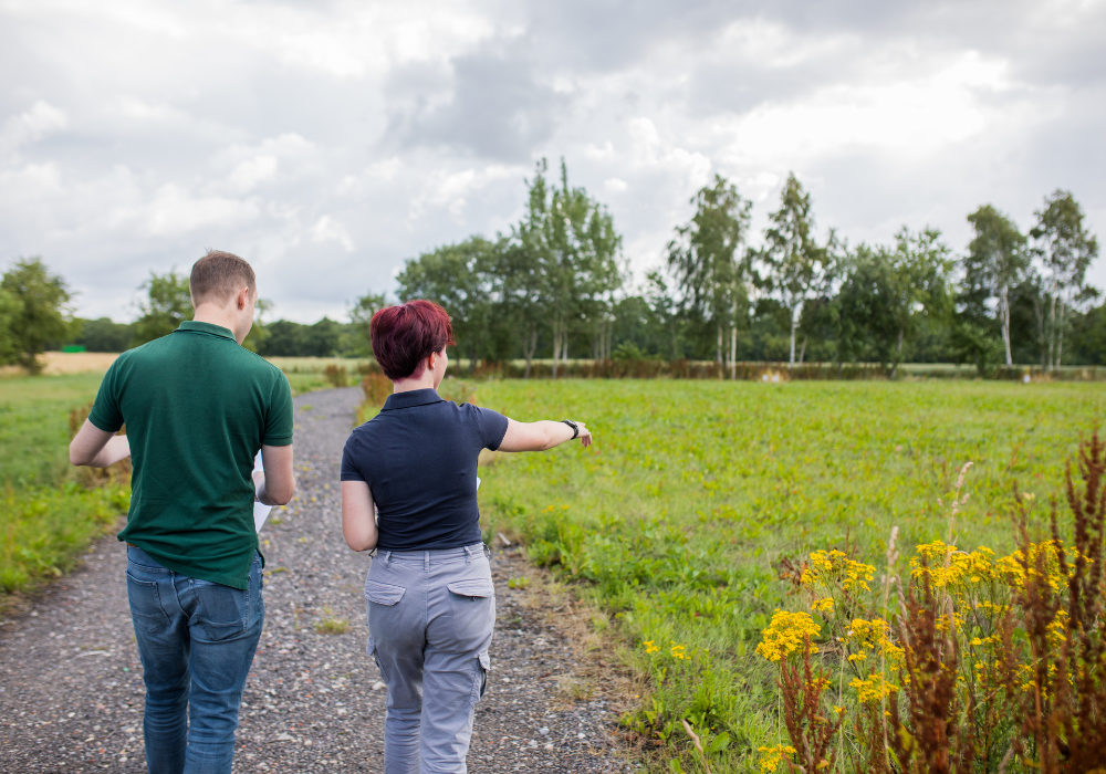 Bestemmingsplan maken