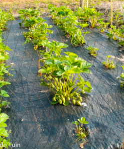 Vergunningsaanvraag Anti-worteldoek aanbrengen, veranderen of weghalen