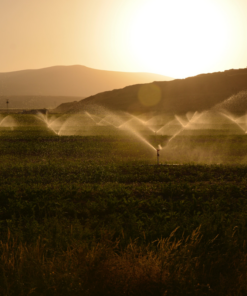 Vergunningsaanvraag Water uit sloot, meer, rivier of kanaal halen
